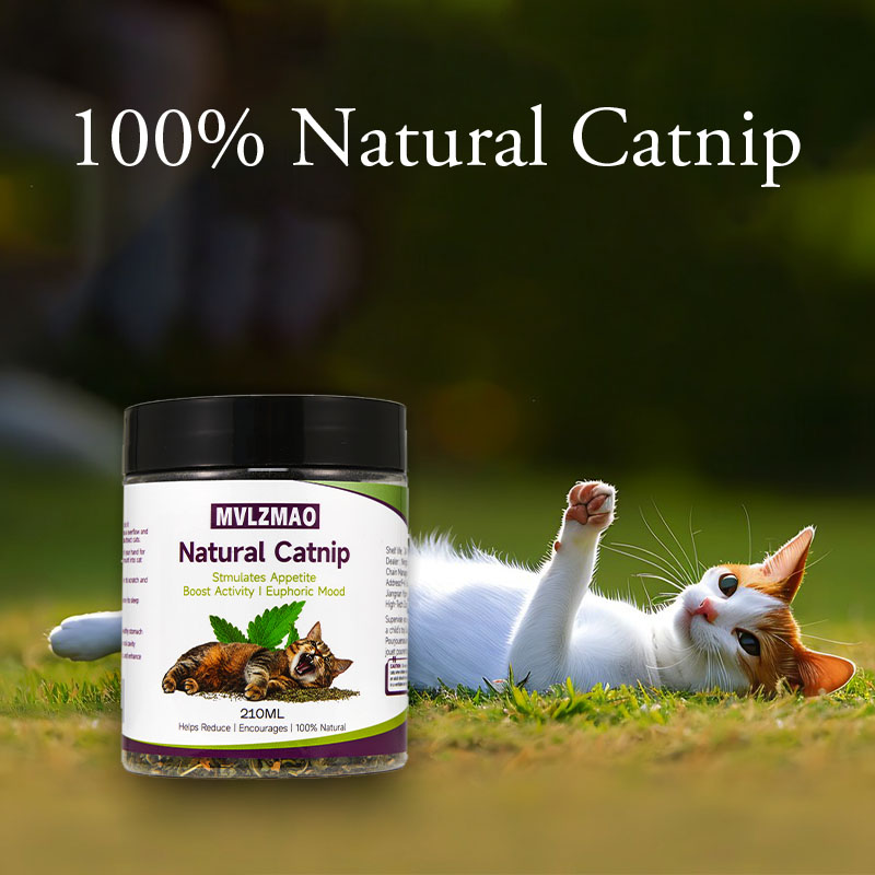 Jouets pour chats - Herbe à l' - Herbal Wellness Products avis et prix