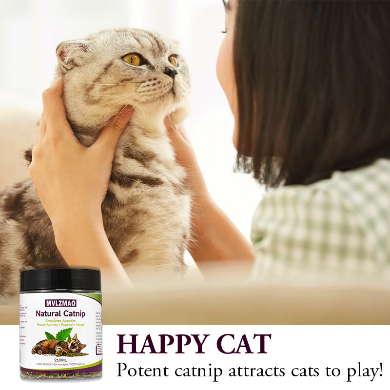 Jouets pour chats - Herbe à l' - Herbal Wellness Products avis et prix